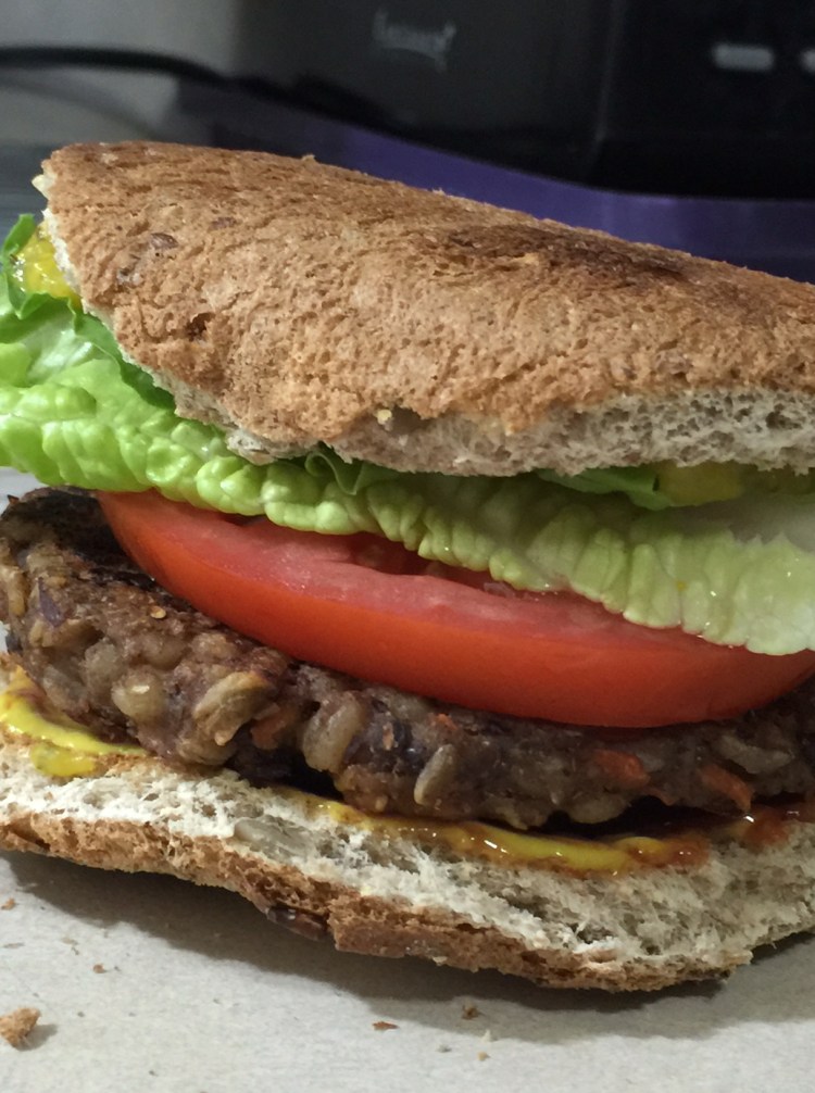 EARTH BURGER FAT FREE 3