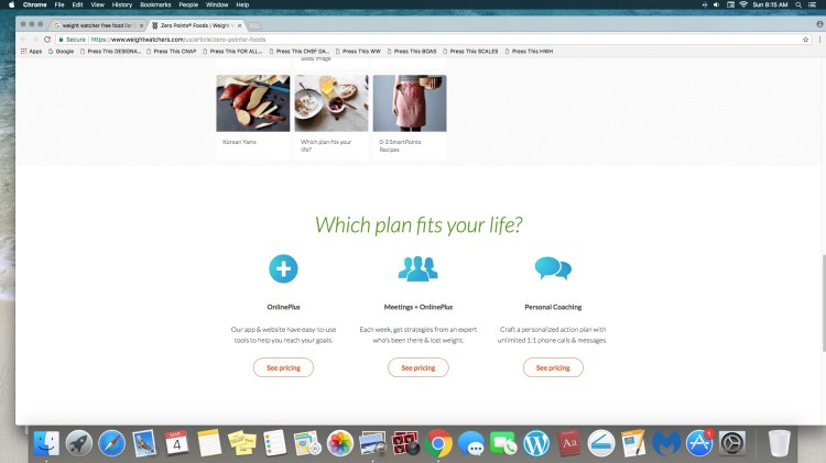 Screen Shot 2018-03-04 at 8.15.34 AM