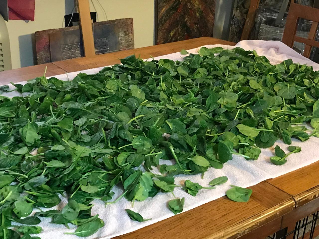 SPINACH WITH EVERYTHING 4